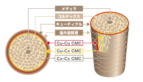 明るくしても暗くしてもいい茶色