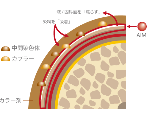 ヒトに優しいいい茶色