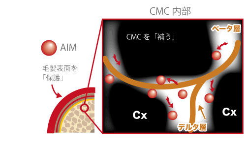 ヒトに優しいいい茶色