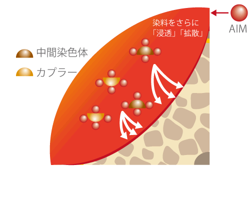 ヒトに優しいいい茶色