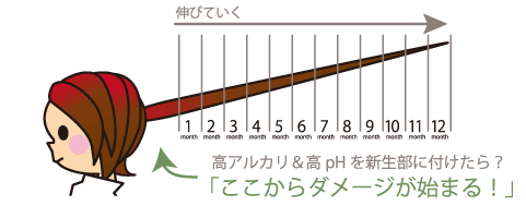 ハホニコリタ　カラー