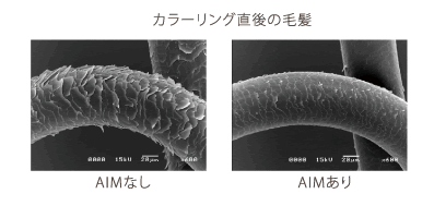 カラーリング直後の毛髪